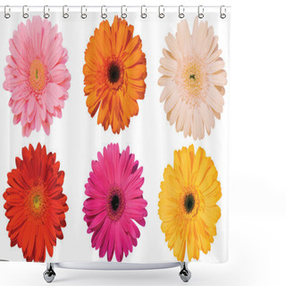 Personality  Gerber Series Shower Curtains