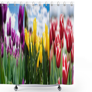 Personality  Collage Of Colorful Red, Yellow And Purple Tulips Against Blue Sky And Clouds, Panoramic Shot Shower Curtains