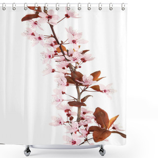 Personality  Spring Flowering Branch Shower Curtains