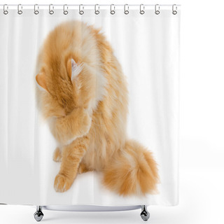 Personality  Red Cat On A Light Background Shower Curtains