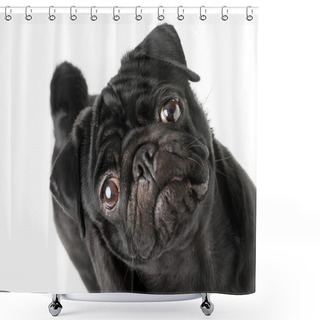 Personality  Black Pug Dog Shower Curtains