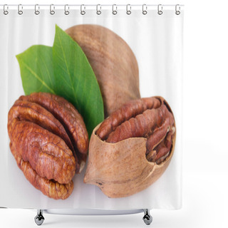 Personality  Pecan Nut Isolated On White Background Shower Curtains