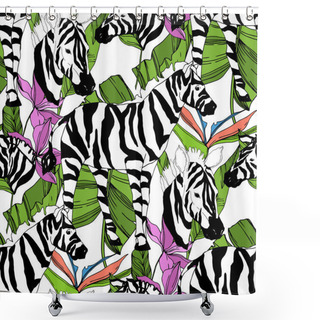 Personality  Vector Exotic Zebra Print Wild Animal Isolated. Black And White Engraved Ink Art. Seamless Background Pattern. Shower Curtains