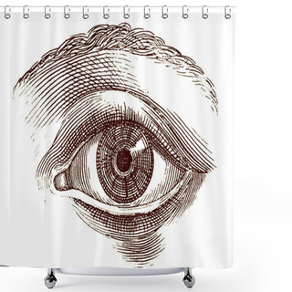 Personality  Human Eye Old Engraving Shower Curtains