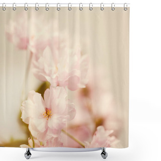 Personality  Sakura Flowers Closeup Shower Curtains