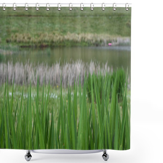 Personality  Lakeside Environment Background With Lake And Field Defocused, Dullstroom, South Africa Shower Curtains