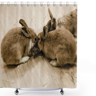 Personality  Cute And Fluffy Rabbits Sitting Near Hay  Shower Curtains