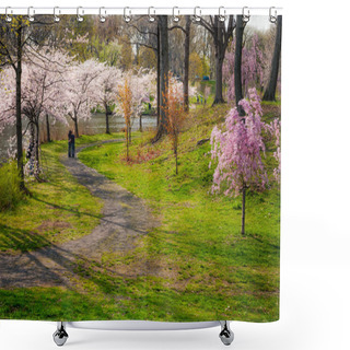 Personality  Cherry Blossoms Trail Shower Curtains