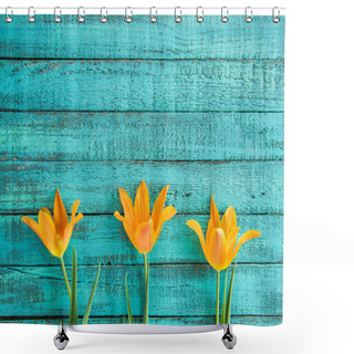 Personality  Yellow Tulips In Row  Shower Curtains