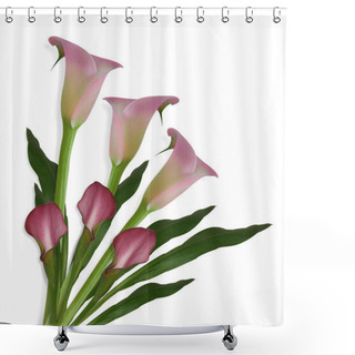Personality  Calla Lilies On White Background Shower Curtains