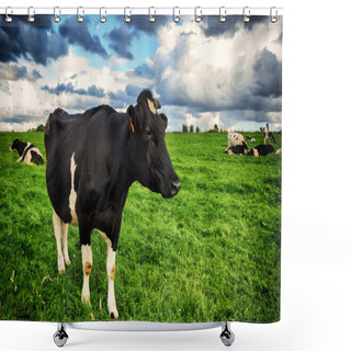 Personality  Black Cow Shower Curtains