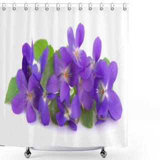 Personality  Wild Spring Violets Shower Curtains