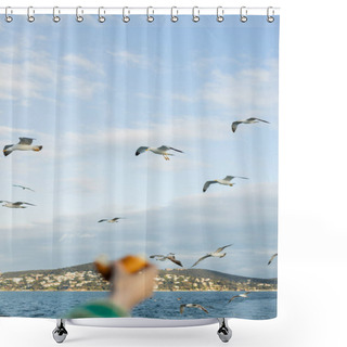 Personality  Seagulls Flying Above Sea Near Blurred And Cropped Hand Of Woman With Bread  Shower Curtains