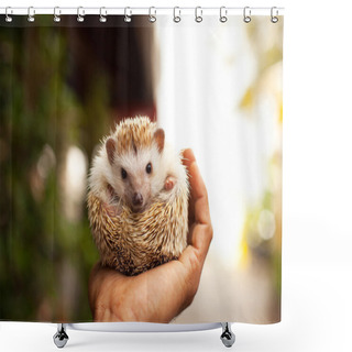 Personality  Little Hedgehog In The Palm Shower Curtains