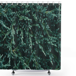Personality  Full Frame Shot Of Beautiful Fir Branches For Background Shower Curtains