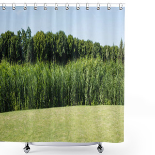 Personality  Panoramic Shot Of Trees And Plants With Green Leaves Near Grass In Park  Shower Curtains