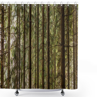 Personality  Coniferous Trees In Forest At Daytime, Banner  Shower Curtains