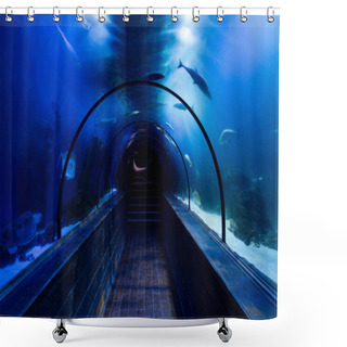 Personality  Fishes Swimming Under Water In Aquarium Above Passage With Blue Lighting Shower Curtains