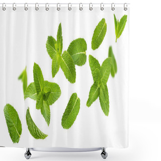 Personality  Fresh Mint Leaves, Peppermint Foliage Isolated On White Background Shower Curtains