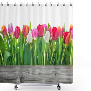 Personality  Spring Tulips Flowers Shower Curtains