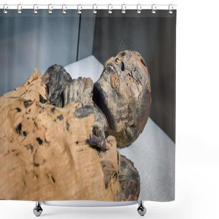 Personality  Egyptian Mummy Lying In Museum Shower Curtains