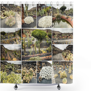 Personality  Amazing Sights Of Lanzarote Cactus Farm Shower Curtains