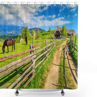 Personality  Grazing Horses On The Ranch,Bran,Transylvania,Romania,Europe Shower Curtains