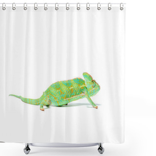 Personality  Side View Of Beautiful Colorful Tropical Chameleon Isolated On White Shower Curtains