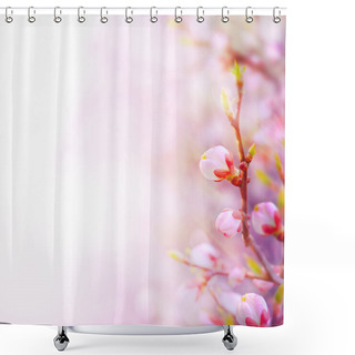 Personality  Spring Field Of Daisies And Blue Sky Background Shower Curtains