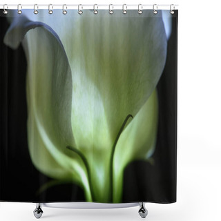 Personality  Beautiful Calla Lily Flower Isolated On Black  Shower Curtains