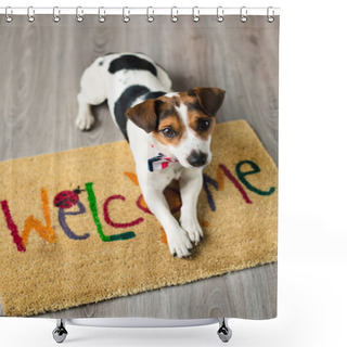 Personality  Cute Dog Posing On The Carpet Shower Curtains