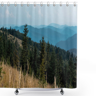 Personality  Selective Focus Of Fir Trees In Mountains Near Lawn Against Sky Shower Curtains
