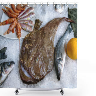 Personality  Monkfish Or Frog-fish, Sea-devils, Angler Lies On The Ice. Fish From Adriatic Sea. Lophius Piscatorius. Sea Food Shower Curtains
