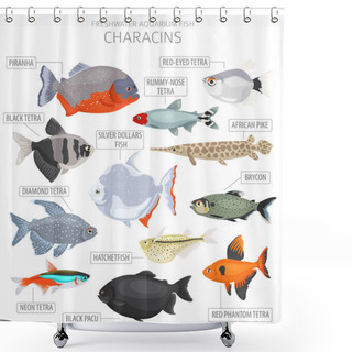 Personality  Characins Fish. Freshwater Aquarium Fish Icon Set Flat Style Isolated On White.  Vector Illustration Shower Curtains