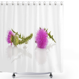 Personality  Thistle Flower Isolated Shower Curtains
