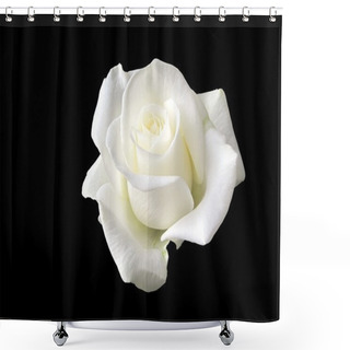 Personality  White Rose Shower Curtains