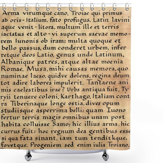 Personality  Latin Calligraphy (from Virgil Shower Curtains
