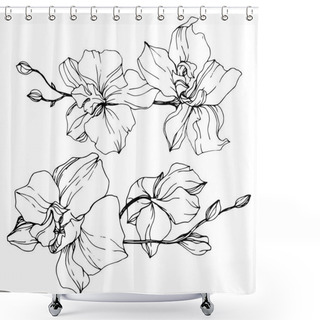 Personality  Beautiful Orchid Flowers. Black And White Engraved Ink Art. Isolated Orchids Illustration Element On White Background. Shower Curtains