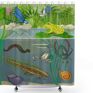Personality  At The Pond Shower Curtains