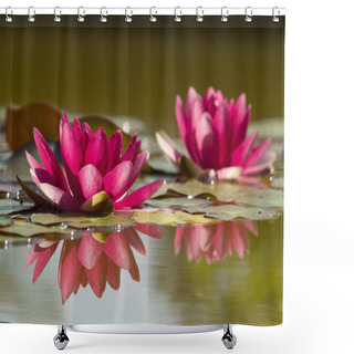 Personality  Two Lotus Flowers In Pond With Reflectio Shower Curtains