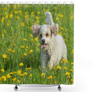 Personality  Little White Dog Shower Curtains