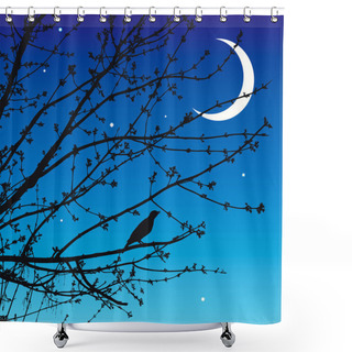 Personality  Night Song Of The Nightingale Shower Curtains