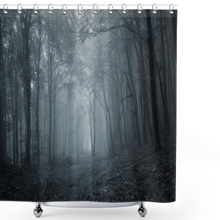 Personality  Dark Forest In The Evening Shower Curtains