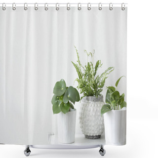 Personality  Green Succulents In Stylish Scandinavian Flowerpots On White Background  Shower Curtains