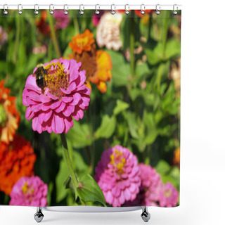 Personality  A Garden Of Multi-Colored Marigolds In Full Bloom And A Bumblebee Shower Curtains