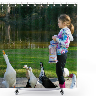 Personality  Young Girl Feeding Ducks. Pekin Duck Makes A Nice Catch Of A Piece Of Bread. Shower Curtains