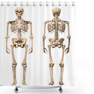 Personality  Male Human Skeleton, Two Views, Front And Back. Shower Curtains