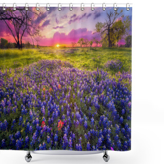 Personality  Dawn Breaks Over A Field Of Bluebonnets And Indian Paintbrushes Near Fredericksburg, TX Shower Curtains