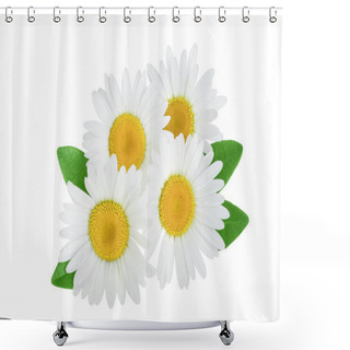 Personality  One Chamomile Or Daisies With Leaves Isolated On White Background Shower Curtains