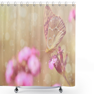 Personality  Dreamy Photo Of A Beautiful Butterfly Shower Curtains